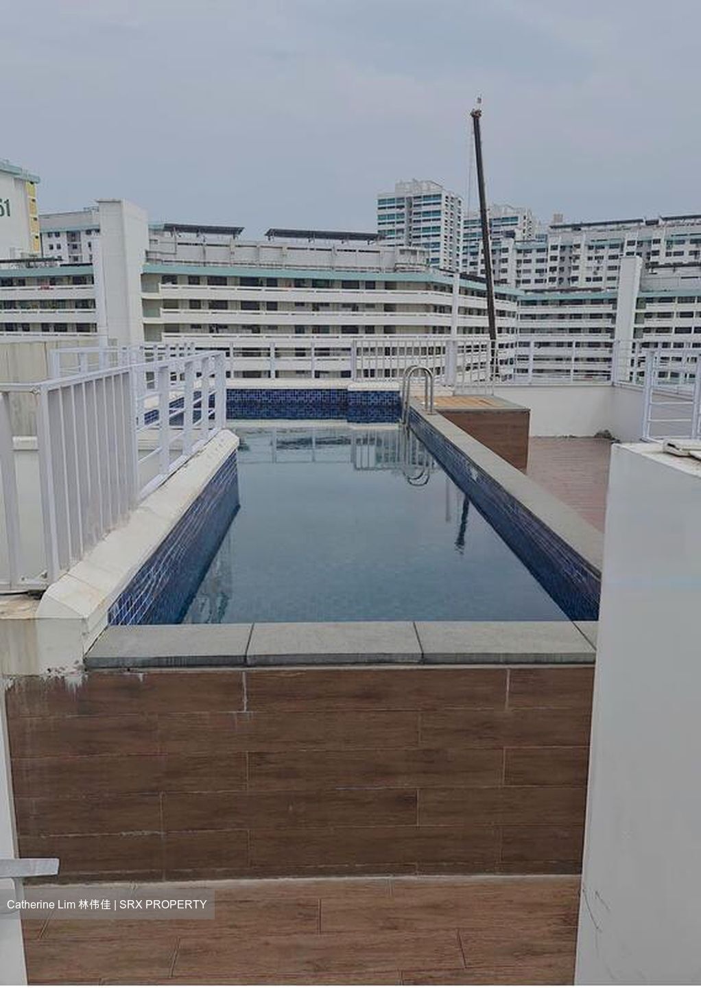 St Patrick's Residences (D15), Apartment #556392691
